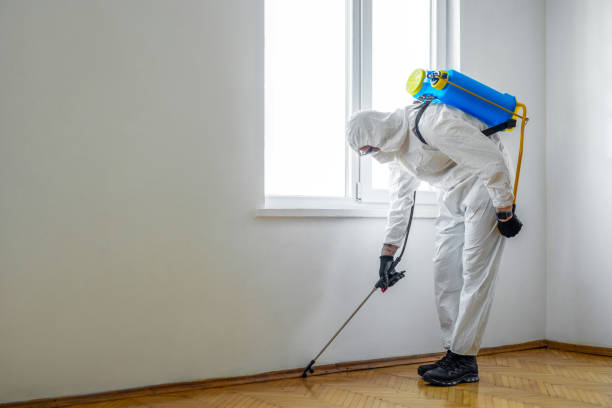 Best Organic or Eco-Friendly Pest Control  in Pleasant Hill, IA